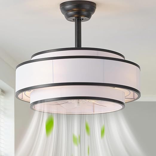 20" Caged Ceiling Fans with Lights and Remote, Fandelier Ceiling Fan with Light, Modern Bladeless Quiet Reversible Motor 6 Speeds for Bedroom, Nursery, Living Room, Black