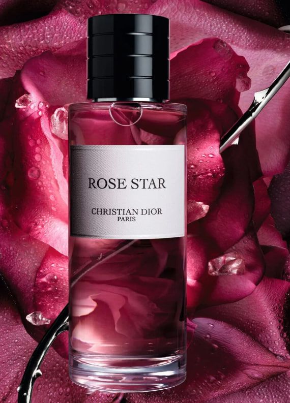 Rose star christian Dior