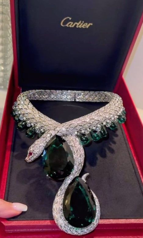 Cartier's gemstone snake necklace can be purchased directly from Cartier stores or authorized dealers.