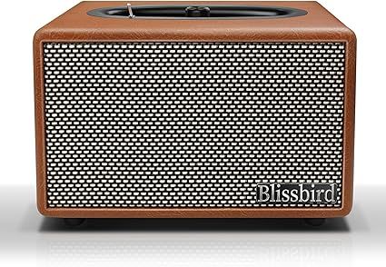 Retro Bluetooth Bookshelf Speakers, Portable Bluetooth Speaker for Home, Wireless Bluetooth Speaker with Deep Bass, Stereo Loud Sound, Built-in 3.5mm AUX Input