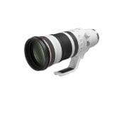 RF100-300mm f/2.8L IS USM