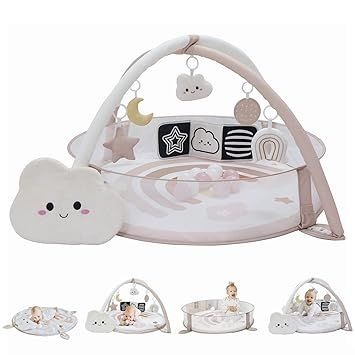 6-in-1 XL Play Mat & Play Gym, Baby Gym, Baby Activity Gym, Sensory Exploration and Motor Skill Development Toys (Blush)