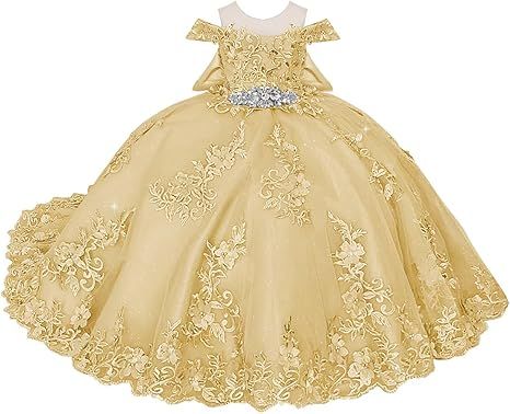 Boatneck Lace Flower Girl Dresses 3D Flower Ball Gown Dresses for Girls Pearly Crystal Girls Pageant Dress