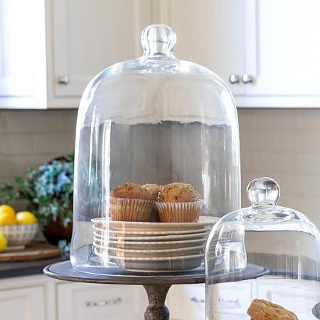 Park Hill Collection ECL82075 Bell Jar, Extra-Large, Glass, Clear